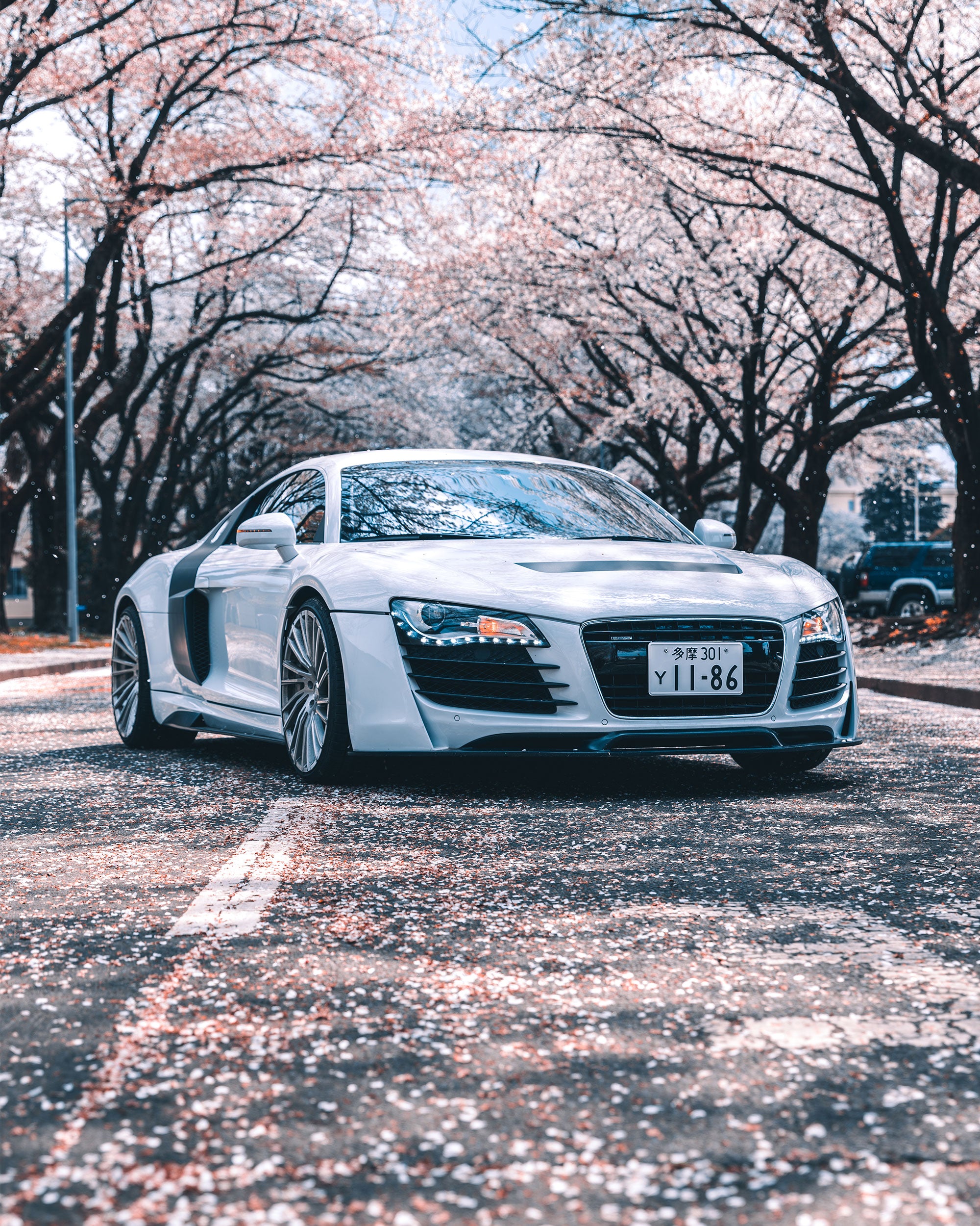 Prior Design GT850 widebody Audi R8 under cherry blossoms in Japan.