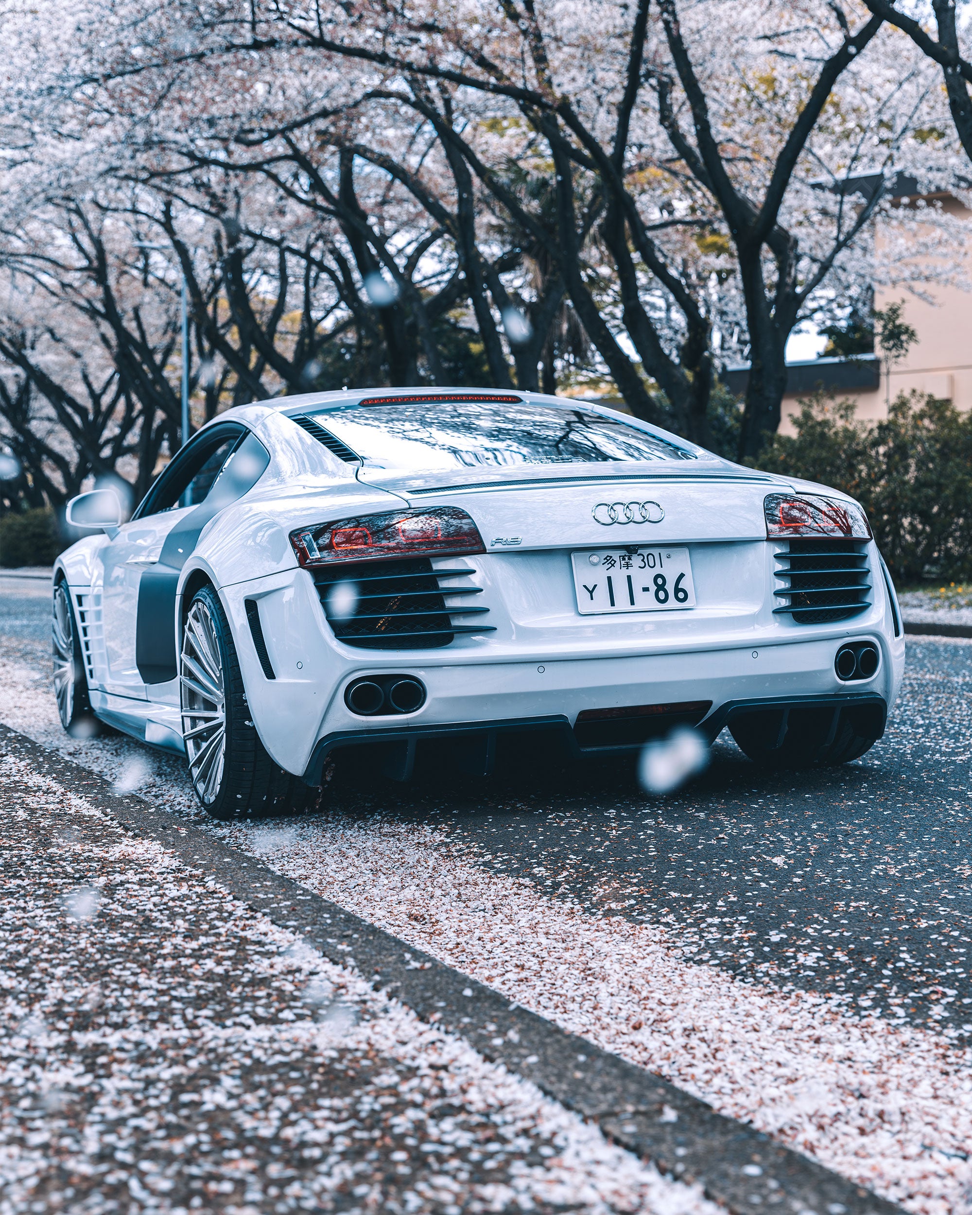 Prior Design GT850 widebody Audi R8 rear bumper under cherry blossoms in Japan.